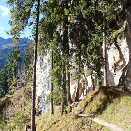 Hundetreffen 2016 im Allgäu (10)